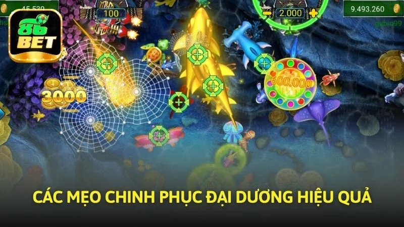 Các mẹo chinh phục đại dương hiệu quả