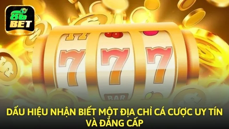 Dấu hiệu nhận biết một địa chỉ cá cược uy tín và đẳng cấp