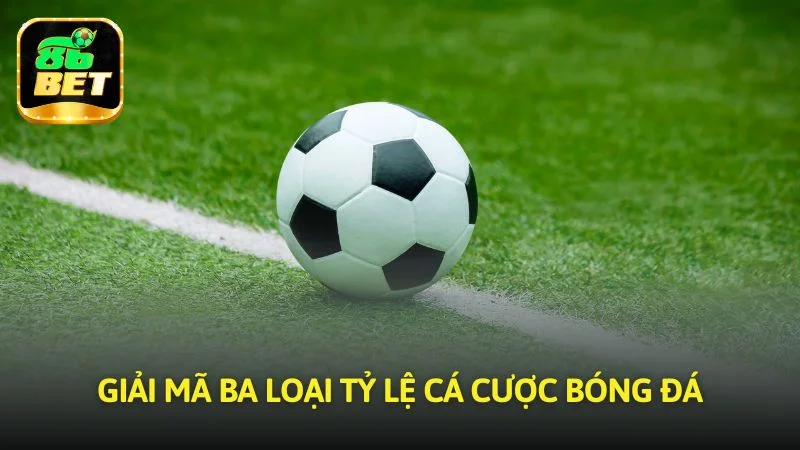 Giải mã ba loại tỷ lệ cá cược bóng đá phổ biến