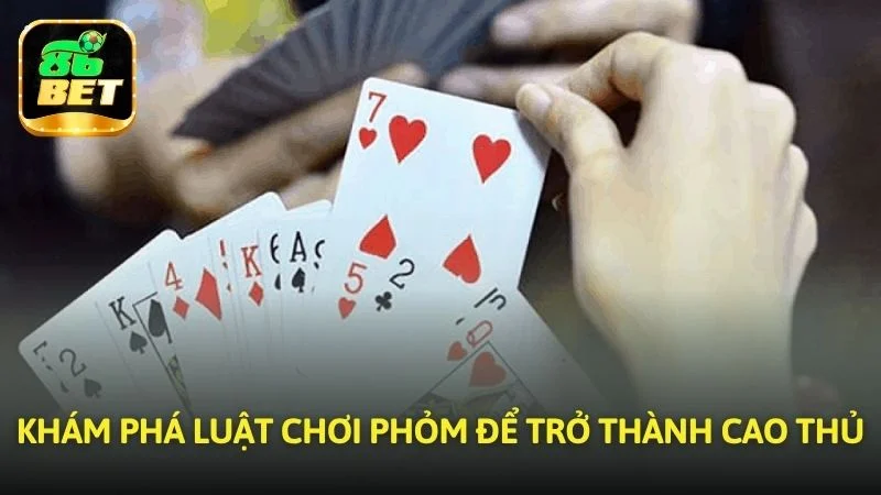 Khám phá luật lệ Phỏm để trở thành cao thủ