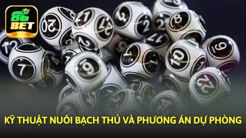 Kỹ thuật Nuôi bạch thủ và phương án dự phòng