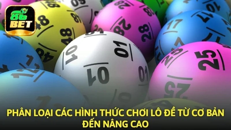 Phân loại các hình thức tham gia từ cơ bản đến nâng cao