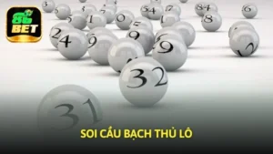 Soi cầu bạch thủ lô