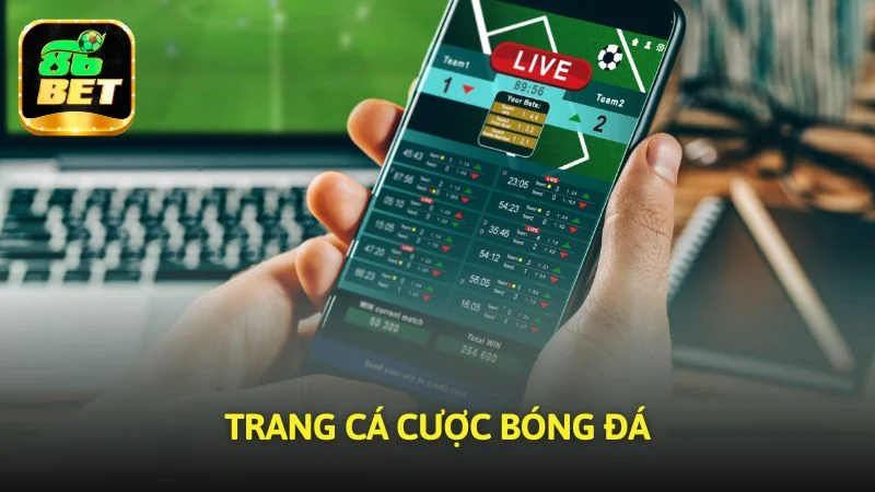 trang cá cược bóng đá
