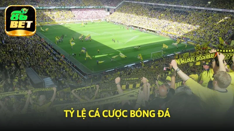 tỷ lệ cá cược bóng đá